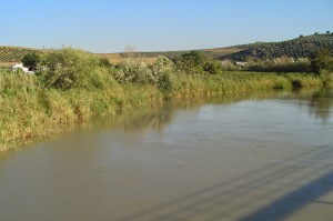 El Río Ancho 082